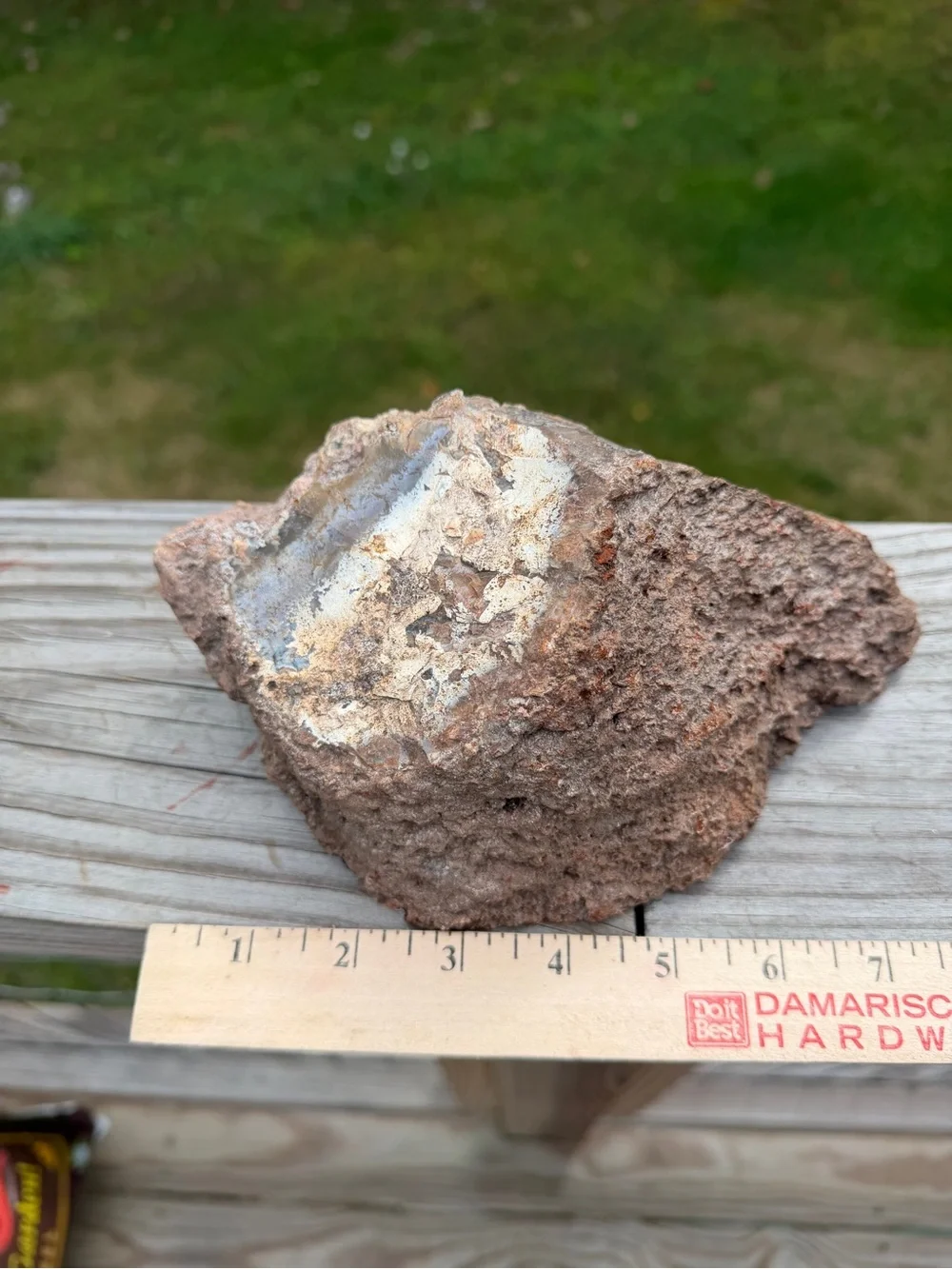 Large Natural Agate & Chalcedony Display Specimen | Wood Stand